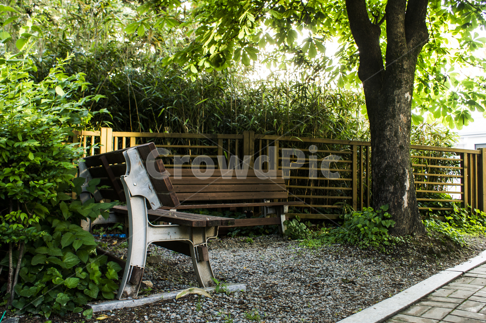 식물,나무,풍경,햇빛,감성,벤치,자연,풍경,nature,landscape,bench,garden,정원,outdoors,옥외,arbour,정자