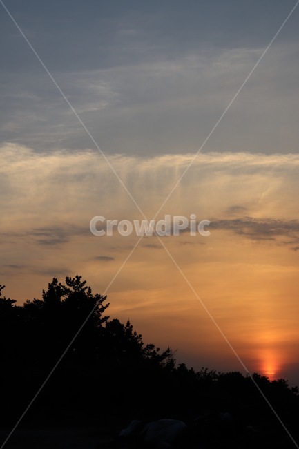 하늘,노을,구름,일몰,sky,sunset,나무,태양,해