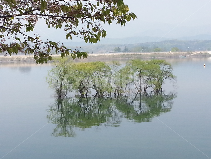 nature,자연,water,물,땅,land,옥외,outdoors,그림자