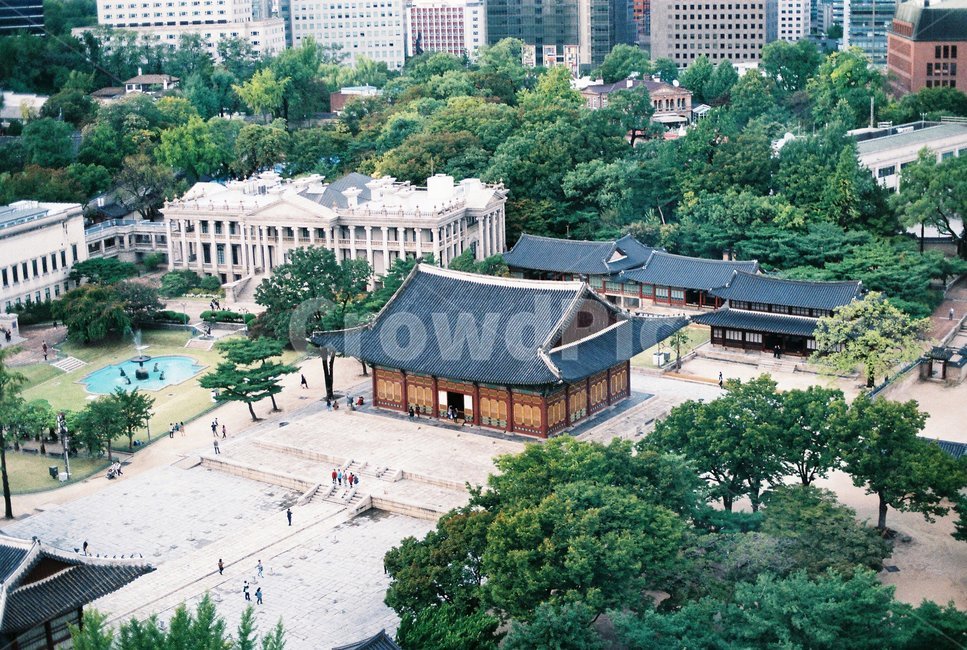 궁,덕수궁,자연,나무,건물,풍경,분위기,한국전통,한국문화,korean traditional,korean culture,랜드마크,landmark,tourist attraction,한국랜드마크,한국관광지,한국명소,korea landmark,korea tourist attraction