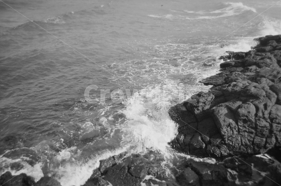 필름사진,sea,바다,water,자연,물,흑백사진,ocean,필름,분위기,자연,풍경,nature,landscape,흑백,모노톤,monochrome,black and white