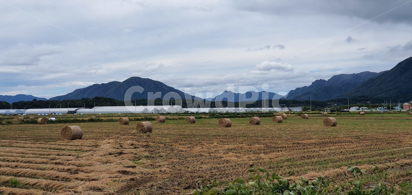 landscape,cloudscape,blue,sunlight,clear,cumulus,color,sky,day,weather,white,beauty,fluffy,space,cloudy,climate,summer,seasonal,background,light,sunny,season,high,beautiful,cloud,scenic,sunshine,heaven,abstract,nature,자연,outdoors,옥외,land,땅,시골,마을,풍경,landscape,country,rural,town