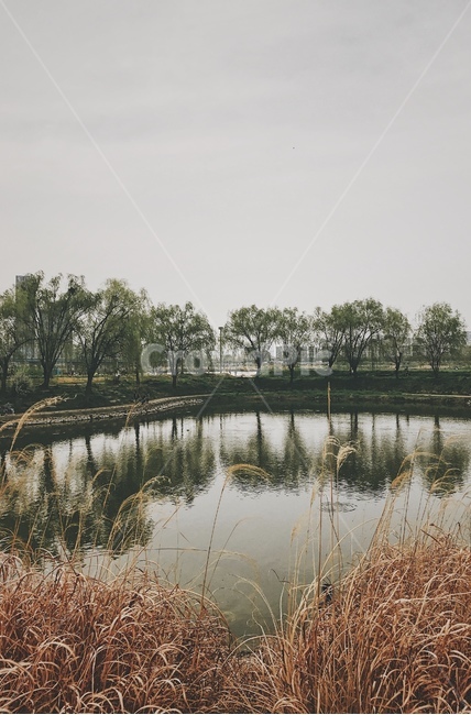 한강,풍경,물비침,가을,나무,분위기,감성,색감,자연,자연경관,river,Scenery,Waterimmersion,fall,tree,nature,landscape,자연,풍경,nature,landscape,land,땅,outdoors,옥외,water,물