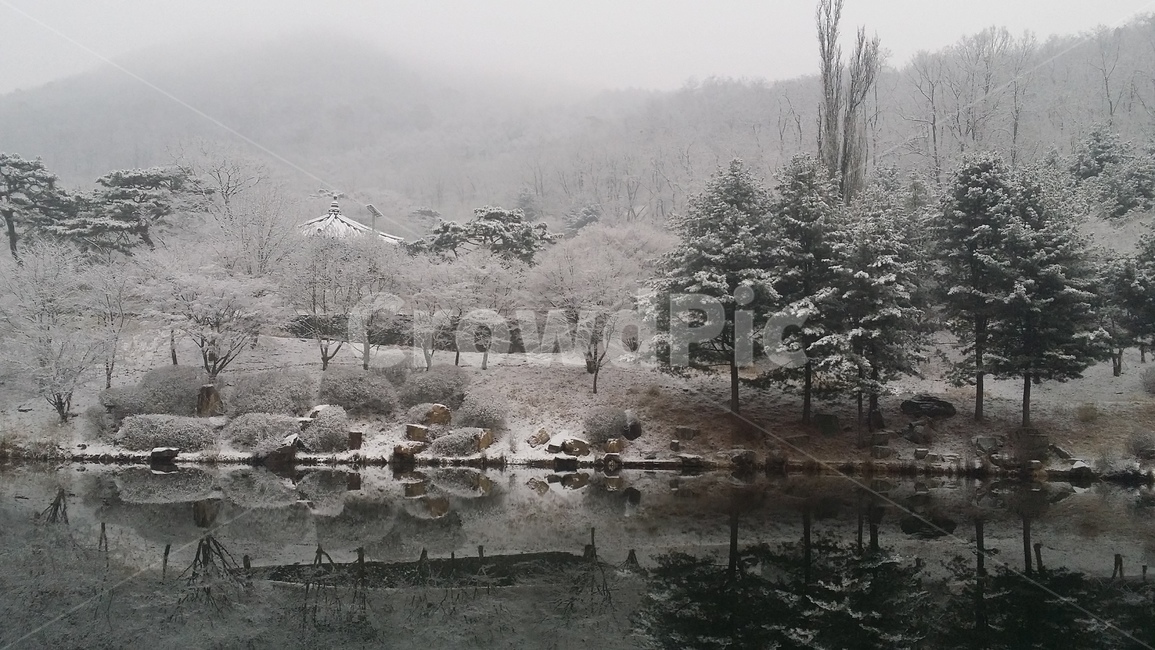 겨울나무,나무,눈,호수,겨울호수