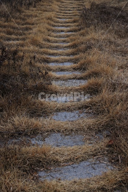 바닥,ground,흙길,자갈,길,산책로
