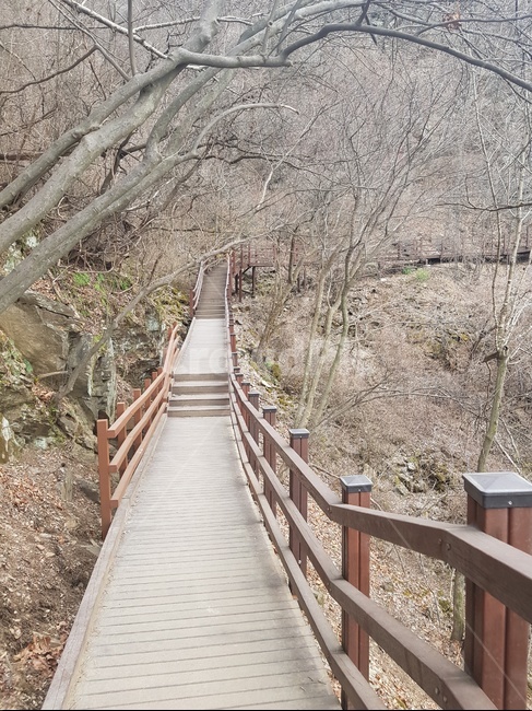 난간,산책로,다리,산,자연,자연,풍경,nature,landscape,식물,plants,나무,trees,wood