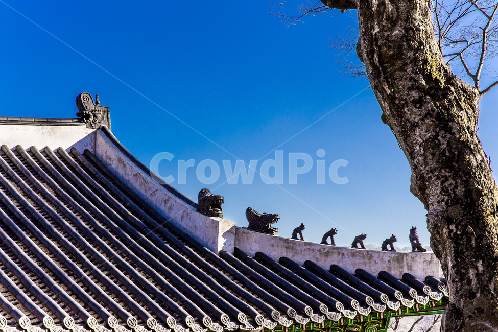 고궁,기와,선,문화유산,고목,한국전통,한국문화,korean traditional,korean culture,건축물,건물외관,exterior,building,structure,architecture,construction