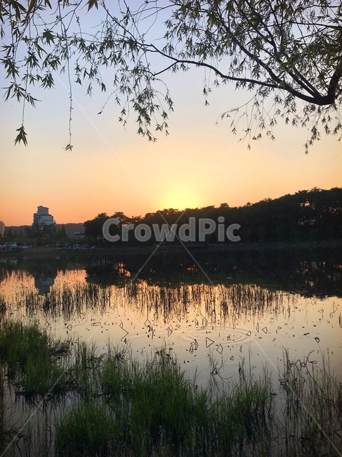 nature,자연,노을,water,물,land,땅,outdoors,옥외,자연,풍경,nature,landscape