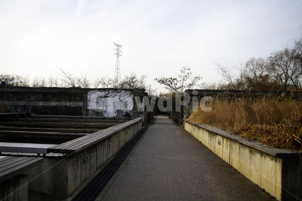 겨울,나무,공원,식물,plant,자연,풍경,nature,landscape,banister,난간,handrail