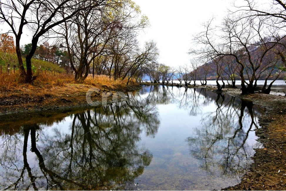 충북,대청댐,로하스길,대청호로하스길,반영,water,outdoors,옥외,nature,자연,물,plant,식물,tree,나무