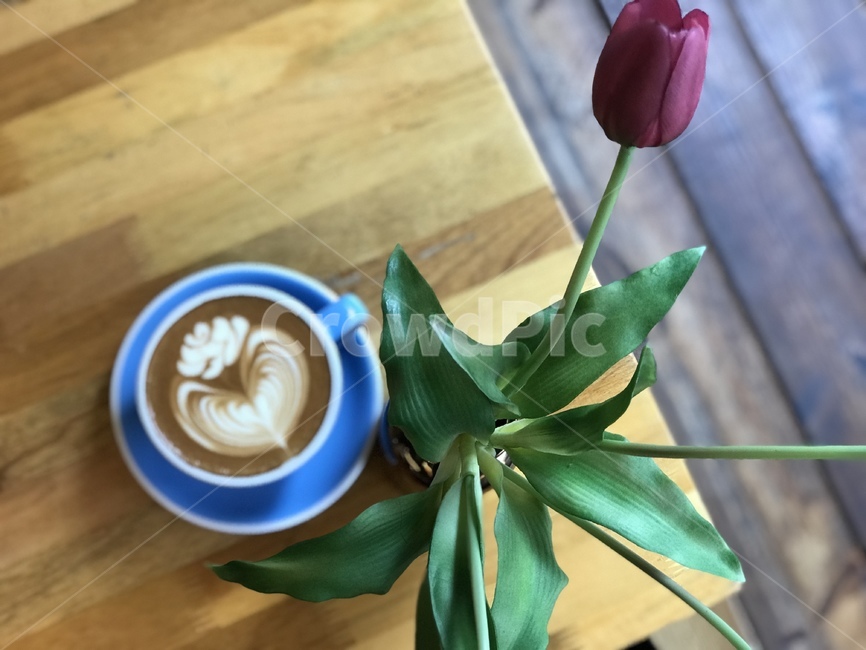 커피,라떼아트,장미,장미꽃,커피아트,카페라떼,coffee,latteart,rose,coffeeart,cafelatte,음료수,drink,beverage,커피,카페,coffee,cafe