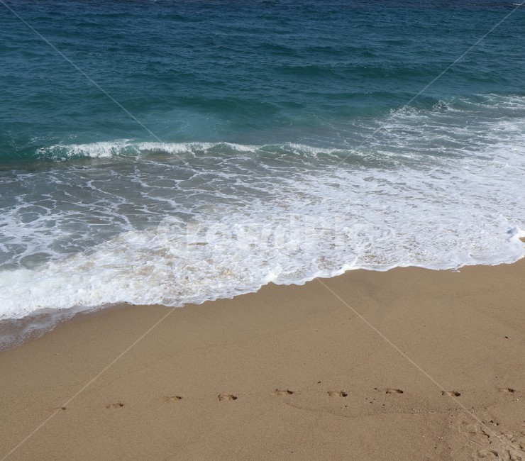 파도,바다,해수욕장,강원도,영덕,모래,해변,푸른바다,여름,여름바다,sea,대양,shoreline,해안선,자연,water,물,ocean,outdoors