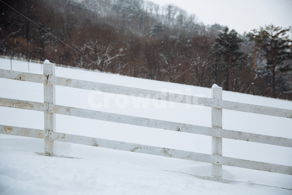 겨울,눈,풍경,감성,스냅,겨울,계절,winter,season,자연,풍경,nature,landscape,banister,난간,handrail,railing