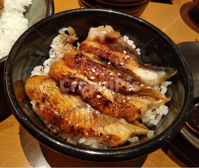 장어,덮밥,일본,일본음식,밥,음식,식재료,요리,food,cook,meal,dishes,food reserves,일식,일본음식,일본요리,Japanese food,Japanese dishes,Japanese meal,Japanese cook