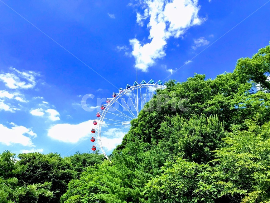 관람차,에버랜드,놀이동산,여름풍경,하늘풍경,놀이공원,놀이동산,놀이터,amusement park,playground