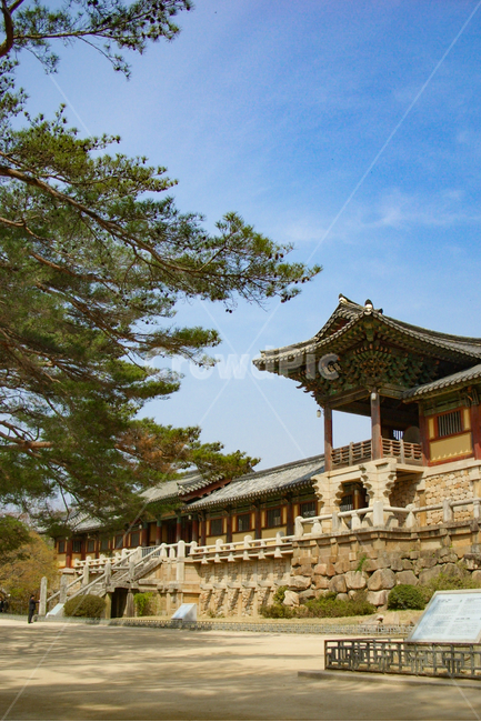 건축물,신전,temple,절,사찰,불국사,경주,경북,랜드마크,landmark,tourist attraction,한국랜드마크,한국관광지,한국명소,korea landmark,korea tourist attraction