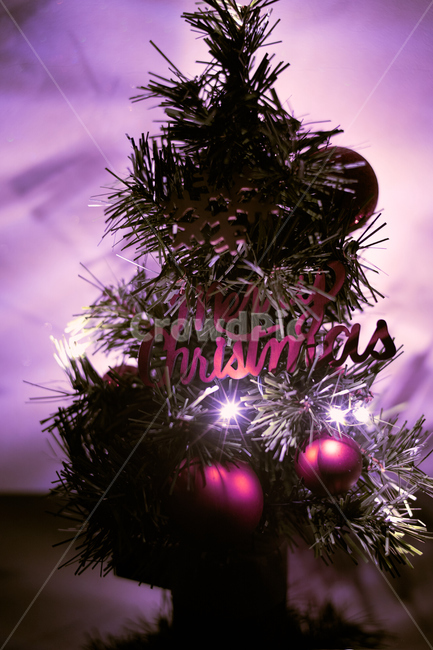 크리스마스,나무,트리,메리크리스마스,tree,color,보라색,축제,행사,festival,carnival,event,메리크리스마스,성탄절,merry christmas