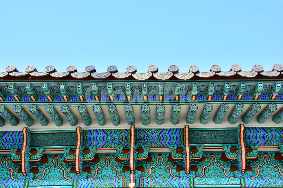 단청,패턴,전통,고궁,문양,칼라풀,colorful,한국적,코리안,pattern,texture,korean,tour,관광지,서울,창경궁,경복궁,보존,culture,traditional,기하학,추상,배경,바탕,백그라운드,background,디자인,라인,선,면,무늬,리듬,역사,문화유산,아름다움,한국의미,장인,east,동양적,아시아,빈티지,vintage,앤틱,유물,기와,기와집,처마,지붕,beautiful,한국전통,한국문화,korean traditional,korean culture,건축물,건물외관,exterior,building,structure,architecture,construction