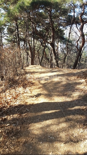 산,등산,자연,동산,운동,뒤동산,등산로,ground,바닥,road,도로,dirtroad,흙길,gravel,자갈