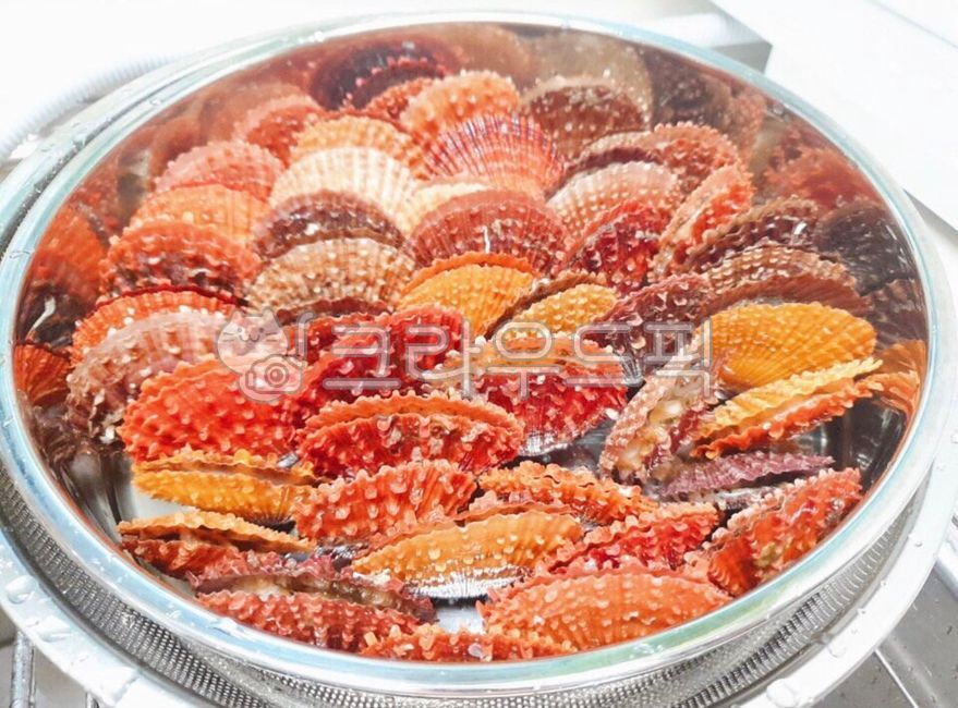 seafood,Steamed scallops,Drink snacks,snack,cook,food,meal,shellfish,scallop,dish,Steamed seafood,ingredients,clam,Steamed,mukbang,cooking,Steamed clams