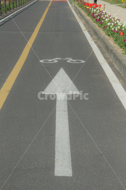 화살표,자전거,방향,감성,tarmac,타맥,asphalt,아스팔트,도로,road