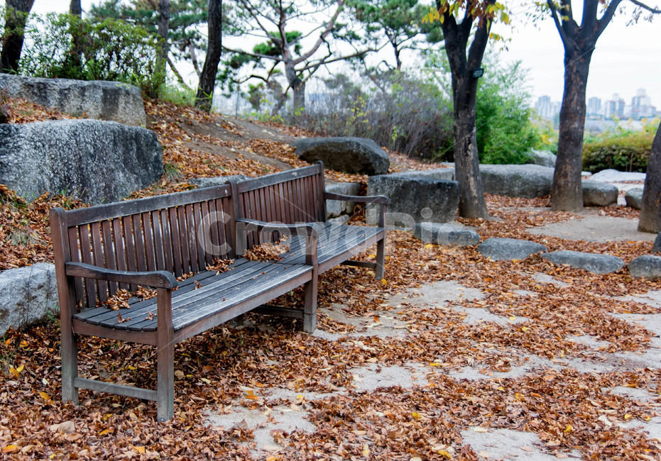 벤치,의자,낙옆,나무,바닥