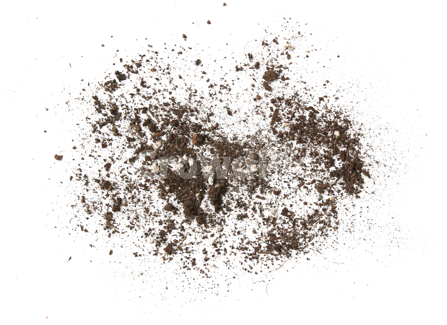 흙,모래,soil,sand,soiltexture,탑앵글,흰배경,누끼,가루,흙가루,모래가루,갈색,브라운,텍스춰,건조한,black,botany,brown,closeup,compost,dark,dirt,dirty,dry,dust,grain,heap,humus,ingredient,macro,mineral,nobody,object,organic,path,powder,splash,spray,texture,topview,toxic,뿌린,누끼,remove background