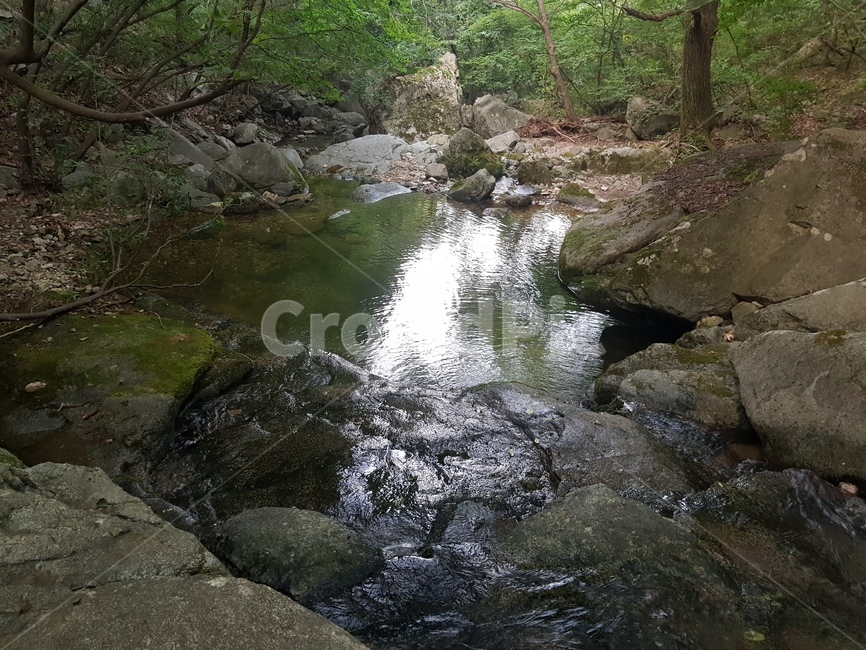 계곡,자연,맑은물,상신계곡,계룡산,자연,풍경,nature,landscape,water,물,outdoors,옥외,stream,흐름,creek,작은 만