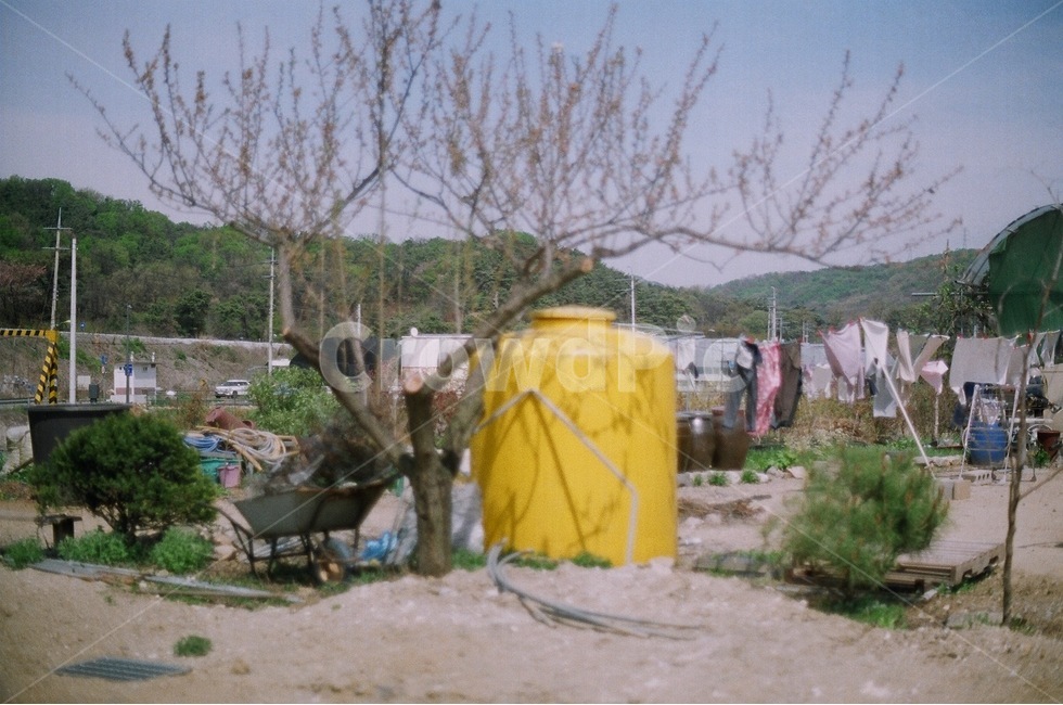 시골,풍경,산,나무,봄,자연,시골,마을,풍경,landscape,country,rural,town,감성,sensible,feeling