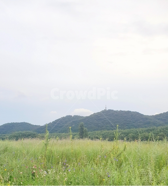 여름풍경,계절,여름,산과들,공원