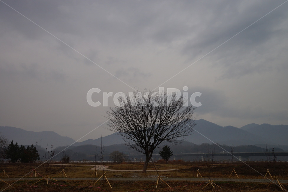 나무,가을,비,가을비,스산한,가을,계절,fall,autumn,season,자연,풍경,nature,landscape,한국자연풍경,한국자연경관,korea nature landscape,식물,plants,나무,trees,wood,outdoors,옥외