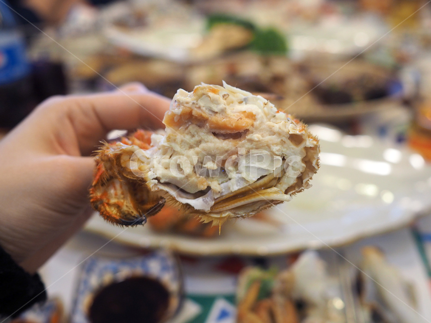 털게,게,털게찜,게찜,갑각류,게요리,요리,음식,식사,일식,food,meal,dish,음식,식재료,요리,food,cook,meal,dishes,food reserves,수산물,해산물,fishery products,seafood