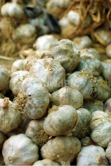 마늘,음식,식품,식물,야채,plant,vegetable,food