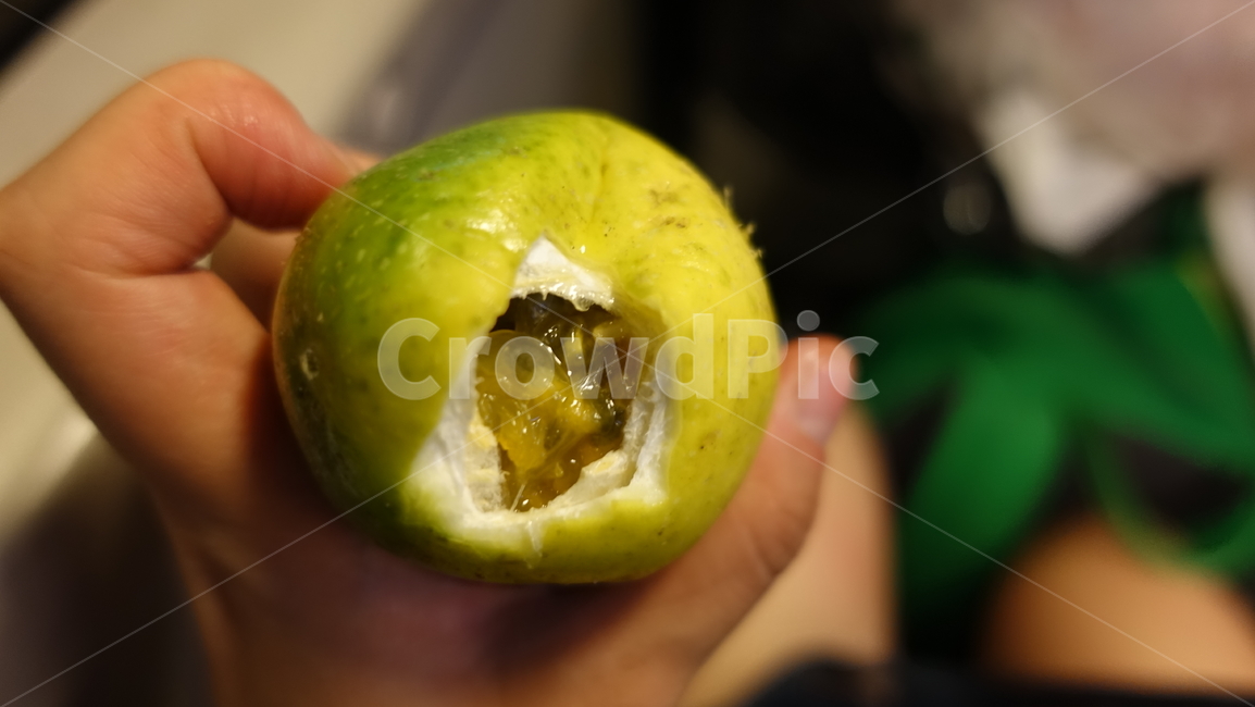 fruit,과일,구아바,패션프루츠,연두색,노란색,그린패션프루츠