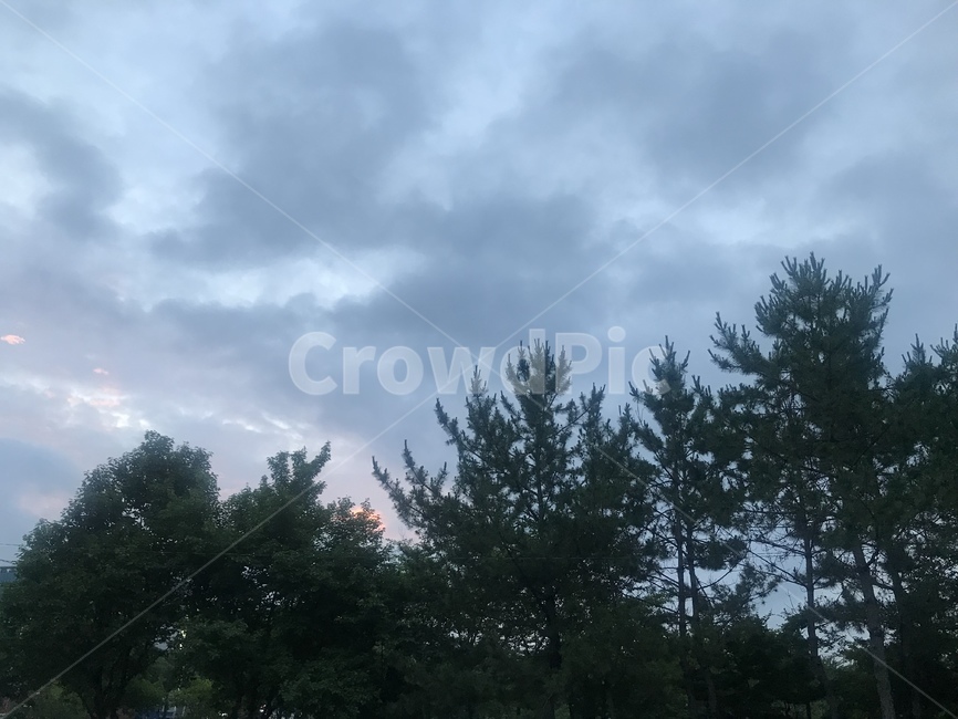 노을,석양,구름,여유,저녁노을,행복,장유,김해