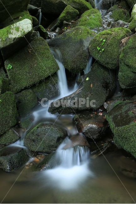 이끼계곡,계곡,이끼,장노출,moss,valley,폭포,cascade,자연,풍경,nature,landscape,plant,식물