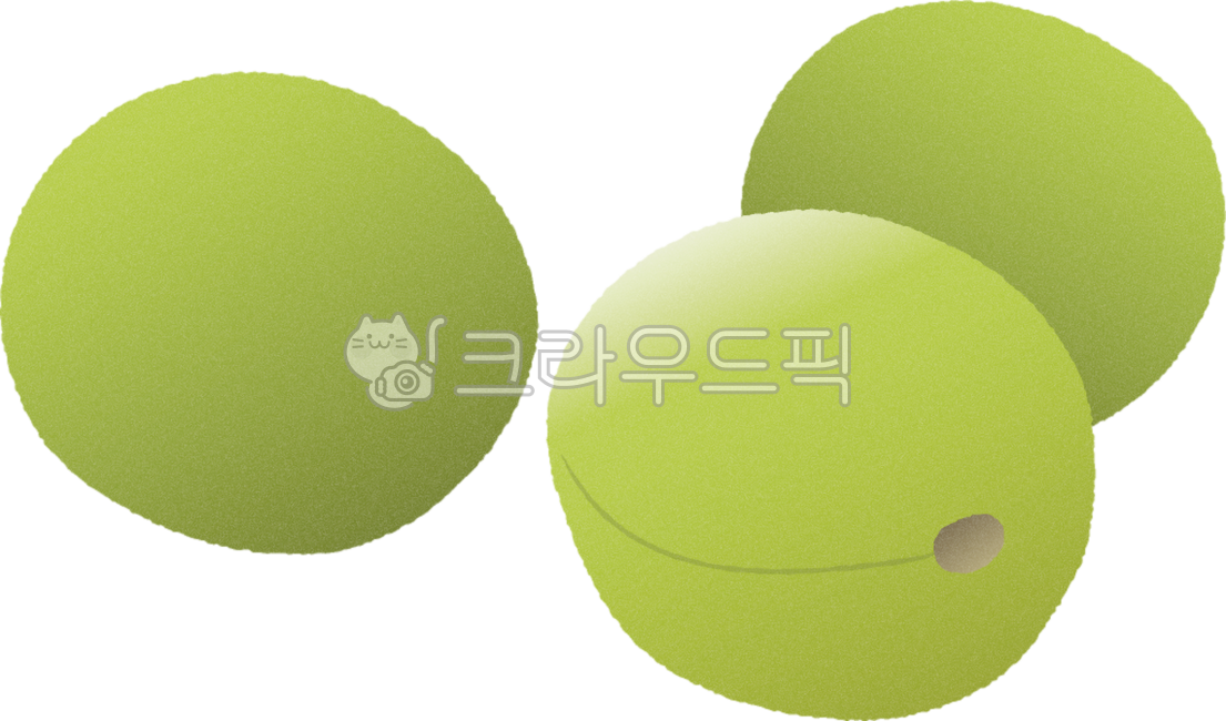 Fruit,Fruit Illustration,Plum,Plum Illustration,Plum Drawing