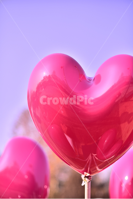 하트,풍선,러브,오브젝트,진분홍색,공원,야외,옥외,아웃도어,outdoor,symbol,심볼,상징,아이콘,love,모양,형상,하늘,꿈,기념일,축하,anniversary,congratulation,celebrate,celebration