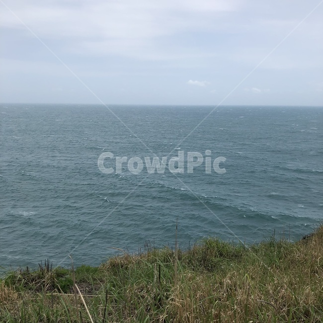 제주바다,제주도,해안도로,풀,바다,구름,하늘,자연,풍경,nature,landscape,outdoors,옥외,ocean,대양,sea,water,물,land,땅,shoreline,해안선