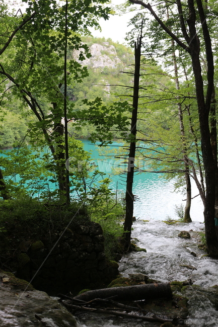 크로아티아,크로아시아,플리트비체,croatia,plitvice,plitvica,국립공원,공원,폭포,숲,요정숲,연못,강,호수,나무,여름,유럽,waterfall,pond,lake,park,tree,forest,자연,풍경,nature,landscape
