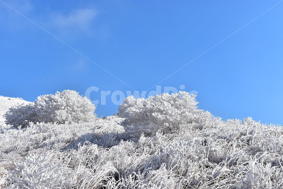 소백산,눈꽃풍경,상고대,겨울풍경,국립공원,겨울동화,힐링,감성,아름다움,뷰티풀,설국,눈풍경,파란하늘,100대명산,겨울명산,설경,서리꽃,snow,landscape,눈,화이트,자연,신비로운,경이로운,천상,비경,치유,산,명산,자연풍경,늦가을,영주,단양,풍기,희방사,삼가리,비로봉,겨울,계절,winter,season,자연,풍경,nature,landscape,outdoors,옥외