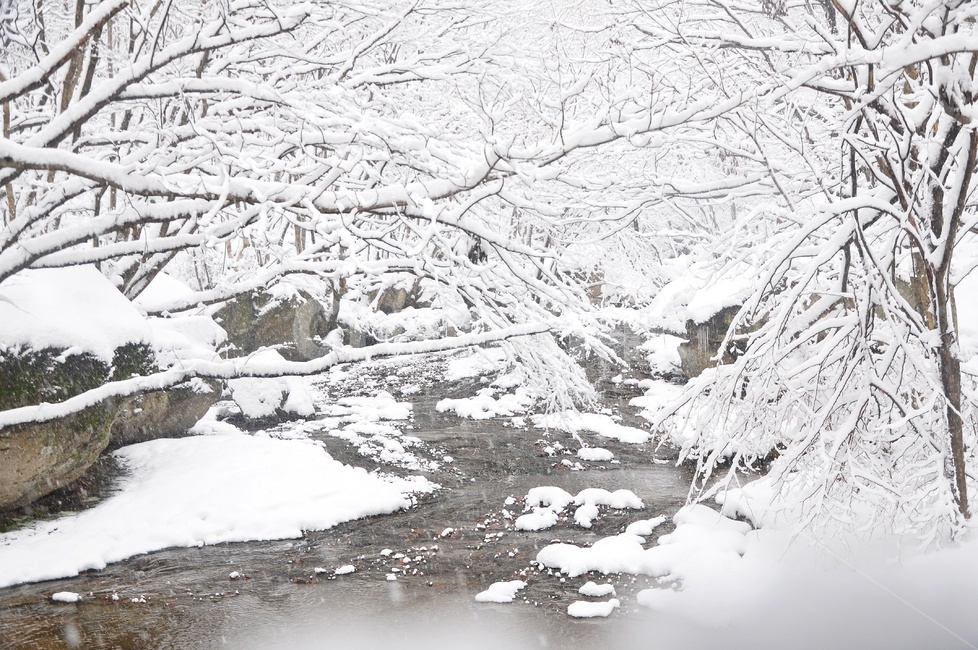 장성,입암산성,남창게곡,설경,남창계곡설경,storm,폭풍,tree,나무,plant,식물,ice,빙,snow,눈,winter,겨울,nature,자연,outdoors,옥외,blizzard,눈보라,겨울,계절,winter,season,자연,풍경,nature,landscape
