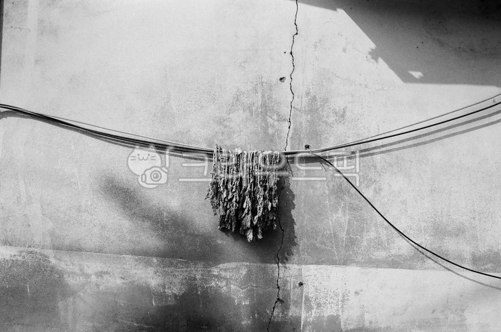 시레기,벽,필름사진,흑백감성,film,흑백