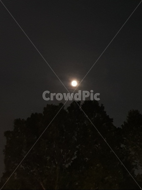 달,야경,풍경,fullmoon,보름달,자연,nature,옥외,야경,밤,풍경,nightscape,night,landscape,outdoors