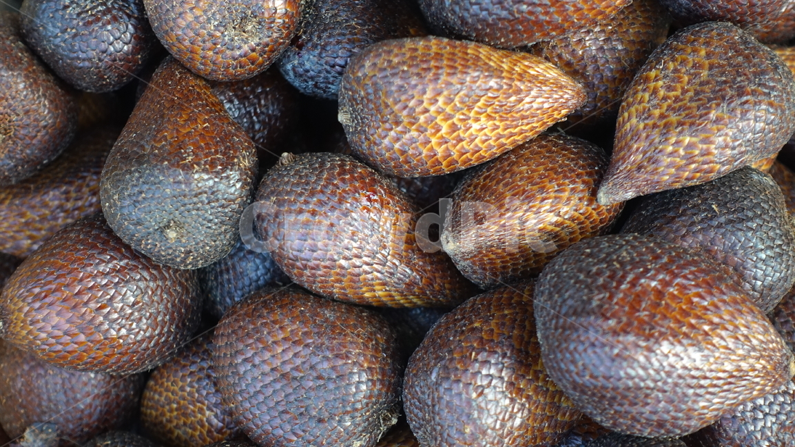 비늘야자,salak,snakefruit,food,market,시장,음식,식재료,fruit,과일,열매,fruit