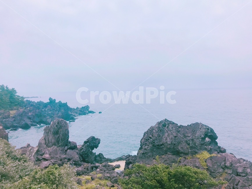 제주도,해변,풍경,자연,바다