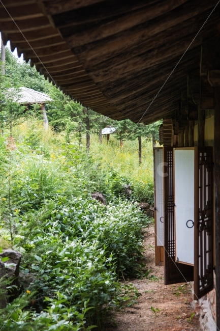 풍경,한옥,처마,초록,자연,여름,계절,summer,season,건축물,건물외관,exterior,building,structure,architecture,construction,한국전통,한국문화,korean traditional,korean culture,porch,현관,patio,안마당,pergola,페르 골라,garden,정원,outdoors,옥외
