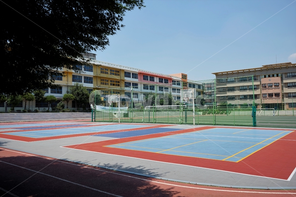 초등학교,학교,건물,운동장,트랙,primaryschool,seoul,korea,building,playground,track,education,windows,sky,교육,교육시설