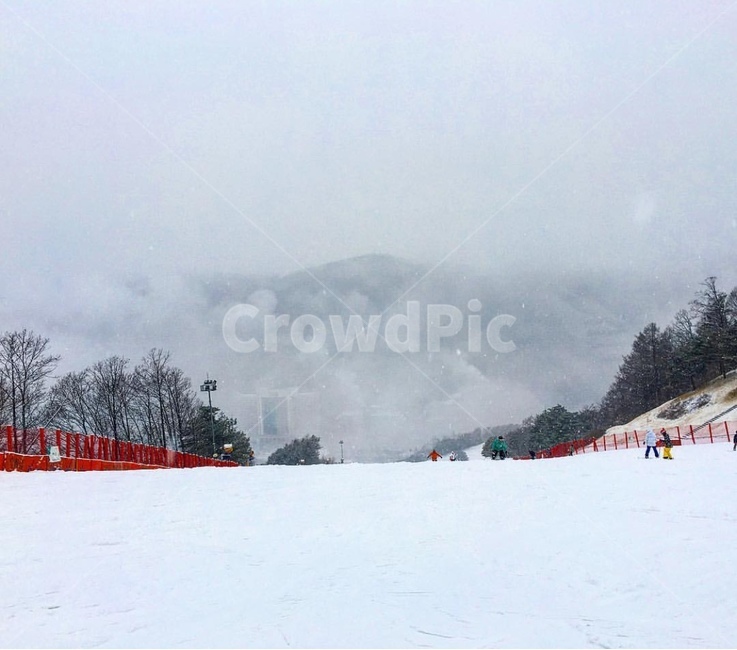 눈,스키장,스키,겨울,풍경,산,겨울,계절,winter,season,스포츠,레저,운동,sports,leisure,exercise