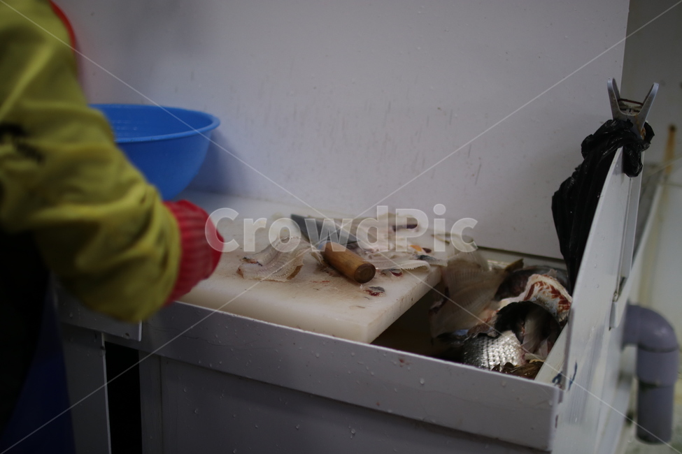 수산물시장,수산시장,사시미,회,회센터,회타운,회사시미,횟집,회센타,물고기,생선,어시장,어류,수산물,패류,해조류,선어,활어,냉동어,건어,물고기판매장